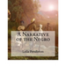 A Narrative of the Negro: (Large Print Edition)