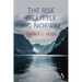 The Rise of Little Big Norway