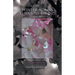 Winter Always Turns to Spring A Memoir: My Triumphant Journey Sachiko Takata Bailey