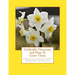 Daffodils, Narcissus and How To Grow Them: Hardy Plants For Cut Flowers With a Guide To Varieties of Daffodils and Narcissus