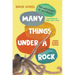 Many Things Under a Rock Young Readers Edition: The Mysteries of Octopuses