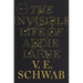 The Invisible Life of Addie Larue