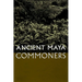 Ancient Maya Commoners