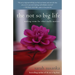 The Not So Big Life: Making Room for What Really Matters