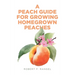 A Peach Guide For Growing Homegrown Peaches