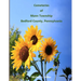 Cemeteries of Mann Township, Bedford County, Pennsylvania
