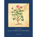Plant World of the Bible