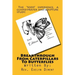 Breakthrough From Caterpillars to Butterflies: : Healing from past Hurts, Bondages and Addictions