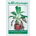 How Not to Kill Your Houseplants: The Foolproof Guide to Lush, Healthy Plants