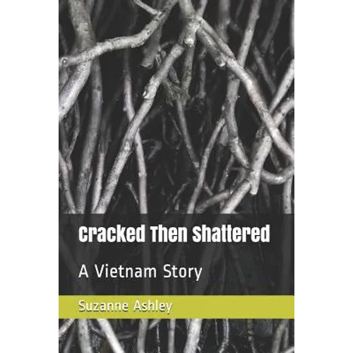 Cracked Then Shattered: A Vietnam Story