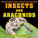 Insects and Arachnids: Animal Books for Kids Children's Animal Books
