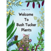 Welcome to Bush Tucker Plants