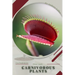 Carnivorous Plants: Plant Guide