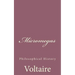 Micromegas: Philosophical History