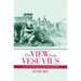 The View from Vesuvius: Italian Culture and the Southern Question Volume 46