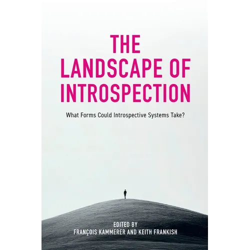 The Landscape of Introspection: What Forms Could Introspective Systems Take?