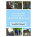 Equine-Assisted Mental Health for Healing Trauma