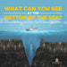 What Can You See in the Bottom of the Sea? A Journey to the Mariana Trench Grade 5 Children's Mystery & Wonders Books