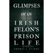 Glimpses of an Irish Felon's Prison Life