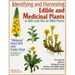 Identifying and Harvesting Edible and Medicinal Plants