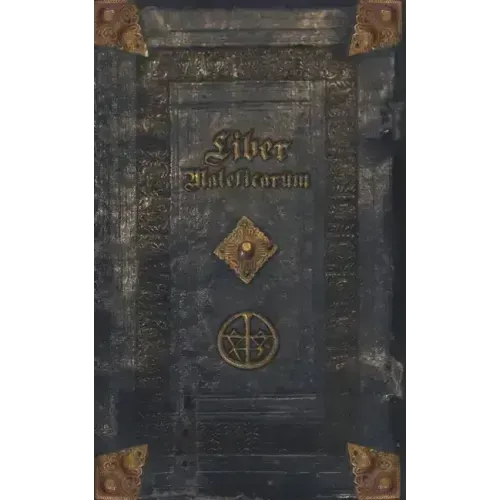 Liber Maleficarum: The mysterious diary of an unknown witch