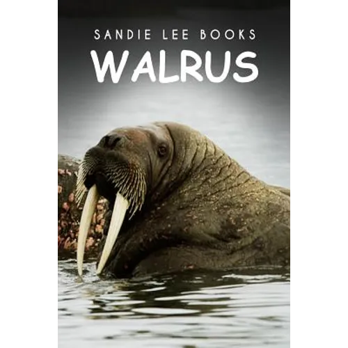 Walrus - Sandie Lee Books