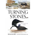 Turning Stones: Discovering the Life of Water
