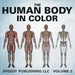 The Human Body In Color Volume 2