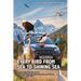 Every Bird from Sea to Shining Sea: One Couple's Big Year in Birding - A Photographic Adventure Across the Lower 48 States
