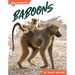 Baboons
