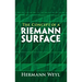 The Concept of a Riemann Surface