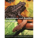 Amphibians and Reptiles of Georgia
