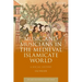 Music and Musicians in the Medieval Islamicate World: A Social History