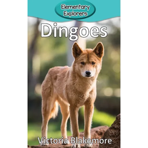 Dingoes