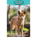 Dingoes