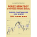 Forex Strategy: ST Patterns Trading Manual, EUR/USD Chart Analysis Step by Step, 300% for One Month