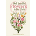 60 Most Beautiful Flowers in the World: Flower Picture Book for Seniors with Alzheimer's and Dementia Patients. Premium Pictures on 70lb Paper (62 Pag