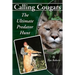 Calling Cougars: The Ultimate Predator Hunt