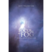 Focus in the Fog: Beams of Light from the Book of Job