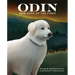 Odin, Dog Hero of the Fires