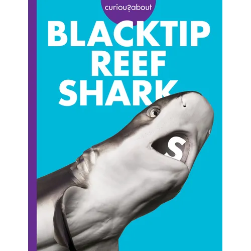 Curious about Blacktip Reef Sharks