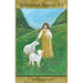 Shepherds Among Us: A Poetic Memoir