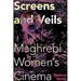 Screens and Veils: Maghrebi Women's Cinema