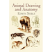 Animal Drawing and Anatomy