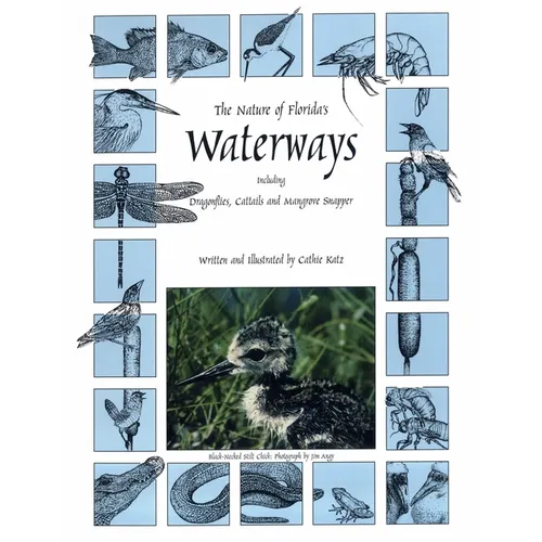 The Nature of Florida's Waterways: Including Dragonflies, Cattails, and Mangrove Snapper