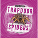 Trapdoor Spiders