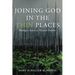 Joining God in the Thin Places: Theologies Active in Natural Disaster
