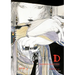Vampire Hunter D Omnibus: Book Ten