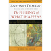 The Feeling of What Happens: Body and Emotion in the Making of Consciousness