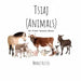 My First Hmong Book: Animals (Tsiaj)